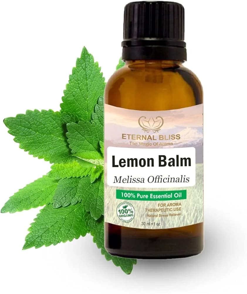 Eternal Bliss | Buy Online at ₹1,250 from Gourmet Company